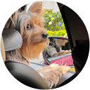 Sharon Ramírez Osorio Sharon Ramírez Osorio